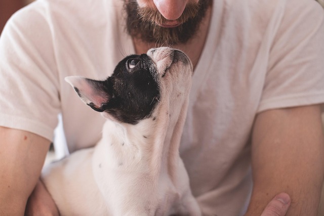 A pet owner cuddling their dog